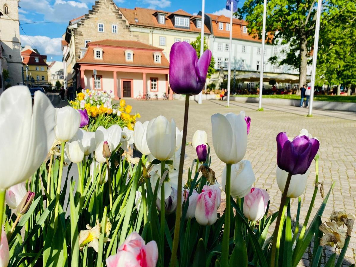 Baerliner Hotel Erfurt Buitenkant foto