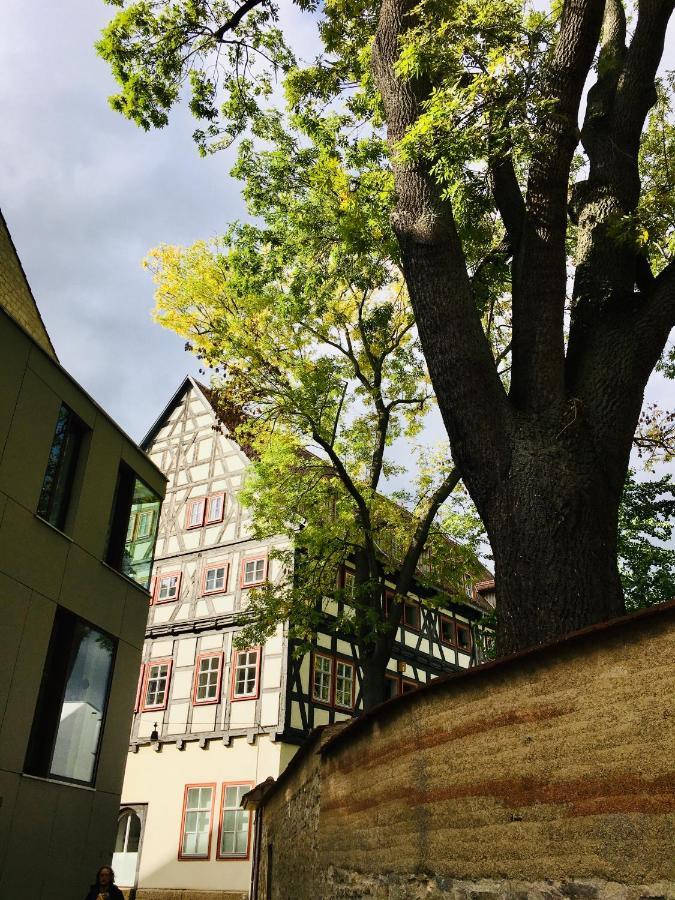 Baerliner Hotel Erfurt Buitenkant foto